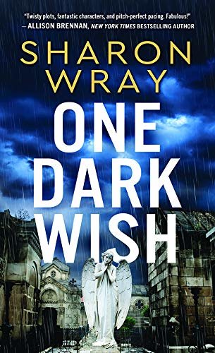 One Dark Wish (Deadly Force Book 2) (English Edition)