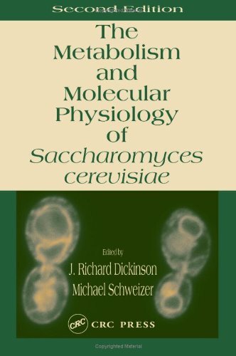 The Metabolism and Molecular Physiology of Saccharomyces cercuisiae (English Edition)