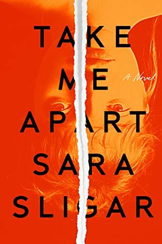 Take Me Apart: A Novel (English Edition)