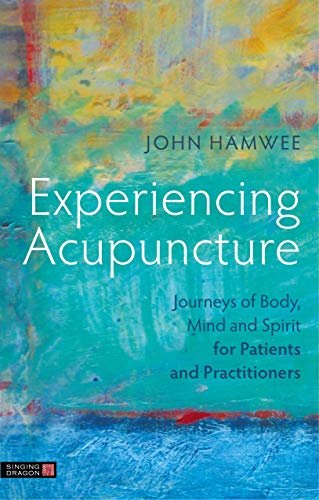 Experiencing Acupuncture: Journeys of Body, Mind and Spirit for Patients and Practitioners (English Edition)