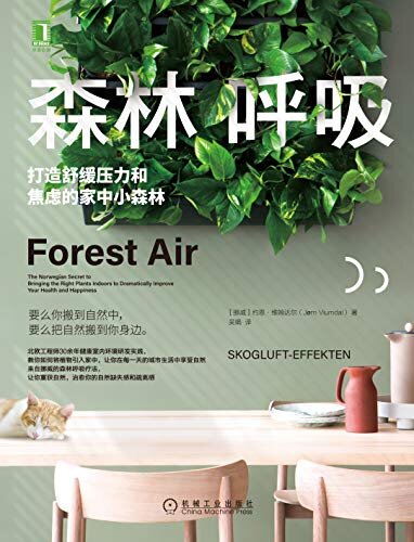 森林呼吸：打造舒缓压力和焦虑的家中小森林