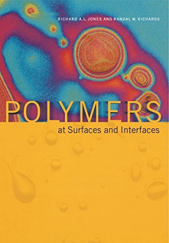 Polymers at Surfaces and Interfaces (English Edition)