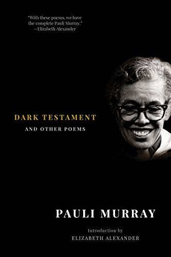 Dark Testament: and Other Poems (English Edition)
