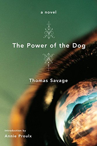 The Power of the Dog: A Novel (English Edition)