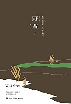野草（鲁迅说：“我一生的哲学都在《野草》里了。”中国现代文学之父鲁迅杂文精选，嘻笑怒骂皆成文章。）