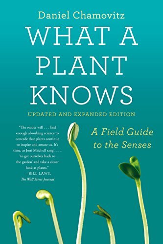 What a Plant Knows: A Field Guide to the Senses: Updated and Expanded Edition (English Edition)