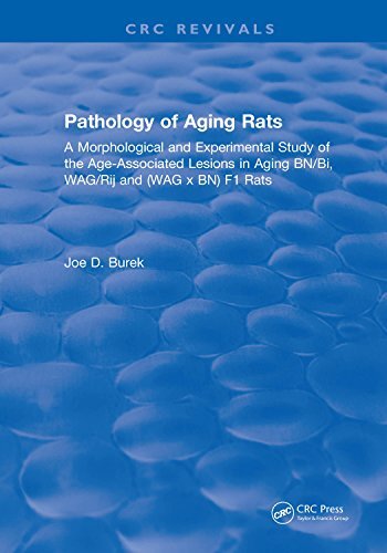 Pathology Of Aging Rats (English Edition)
