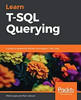 Learn T-SQL Querying: A guide to developing efficient and elegant T-SQL code (English Edition)