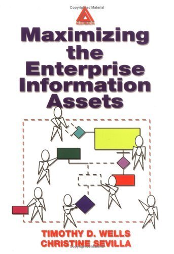 Maximizing The Enterprise Information Assets (English Edition)