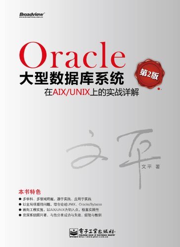 Oracle大型数据库系统在AIX/UNIX上的实战详解(第2版)