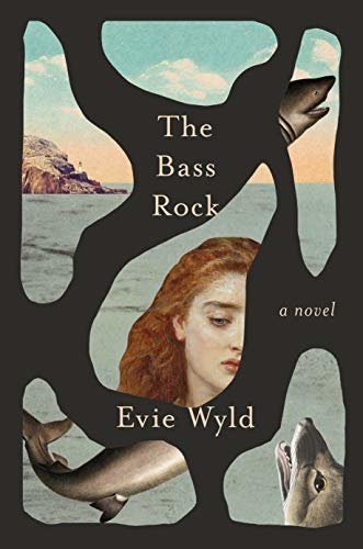 The Bass Rock: A Novel (English Edition)