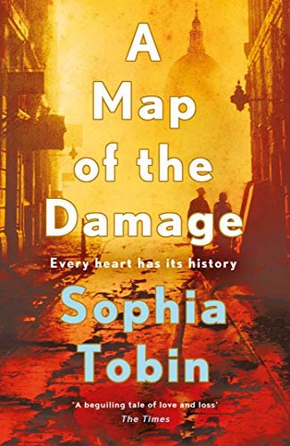 A Map of the Damage (English Edition)