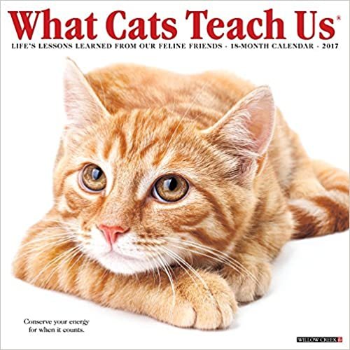 What Cats Teach Us 2017 挂历