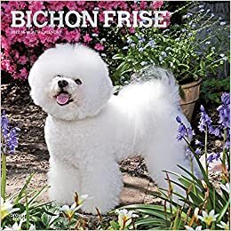 Bichon Frise 日历 2022 -- 豪华 2022 年比森·弗里斯挂历套装,含 100 多张日历贴纸(比康·弗里斯礼品、办公室用品)