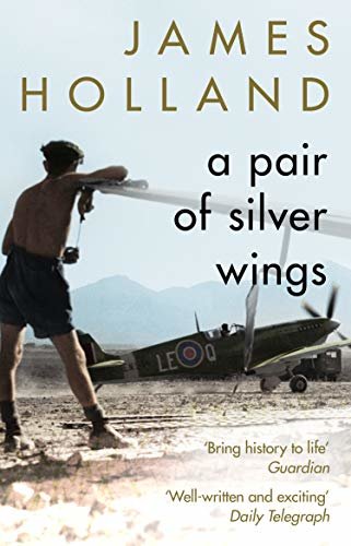 A Pair of Silver Wings (English Edition)