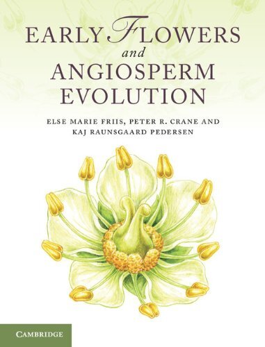 Early Flowers and Angiosperm Evolution (English Edition)