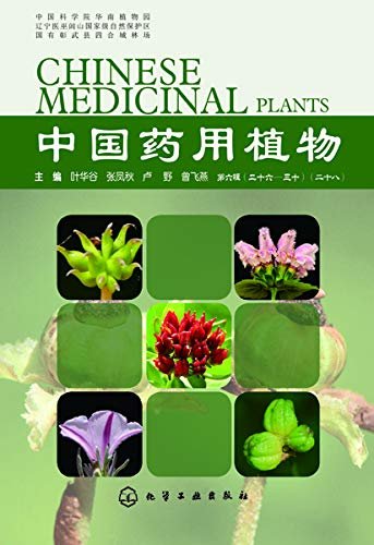 中国药用植物(二十八)