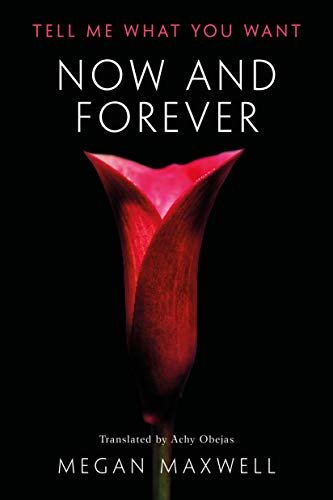 Now and Forever (Tell Me What You Want Book 2) (English Edition)