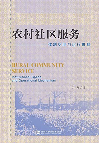 农村社区服务：体制空间与运行机制