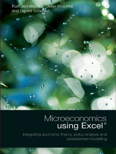 Microeconomics using Excel: Integrating Economic Theory, Policy Analysis and Spreadsheet Modelling (English Edition)