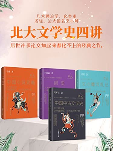 北大文学史四讲(20世纪20年代中国文学史四大代表著作，号称文学史不可逾越、通神之作，后世许多论文加起来都比不上的经典之作。)