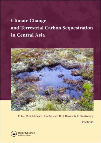Climate Change and Terrestrial Carbon Sequestration in Central Asia (English Edition)