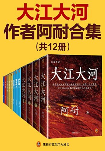 《大江大河》作者阿耐合集（共12册）（含《大江大河》(全4册)《欢乐颂》（全3册）《都挺好》(全2册)《不得往生》《食荤者》《余生》，阿耐出品，必是精品！作品改编影视剧均引起热议！）