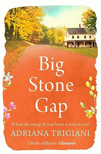 Big Stone Gap (English Edition)