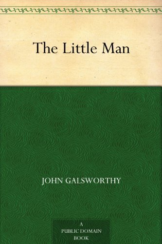 The Little Man (English Edition)