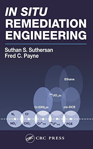 In Situ Remediation Engineering (English Edition)