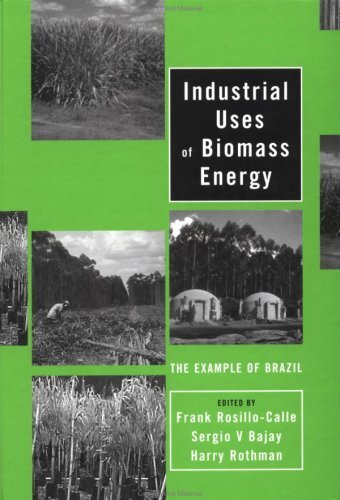 Industrial Uses of Biomass Energy: The Example of Brazil (English Edition)