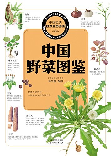 中国野菜图鉴 (中国之美自然生态图鉴)