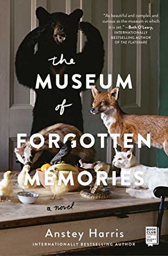 The Museum of Forgotten Memories: A Novel (English Edition)