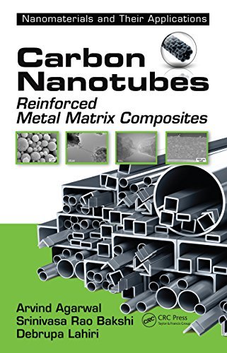 Carbon Nanotubes: Reinforced Metal Matrix Composites (Nanomaterials and their Applications) (English Edition)