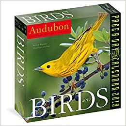 2019 Audubon Birds Colour Page-A-Day Calendar