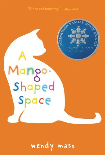 A Mango-Shaped Space (English Edition)