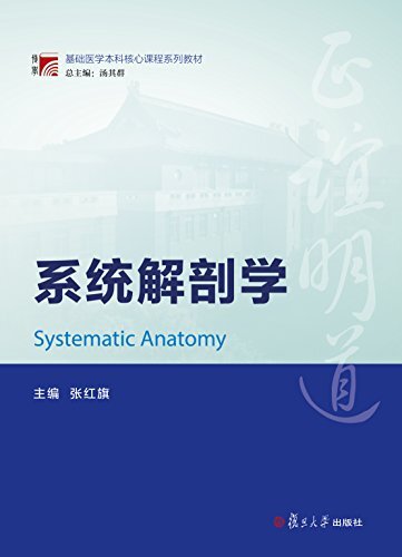 系统解剖学