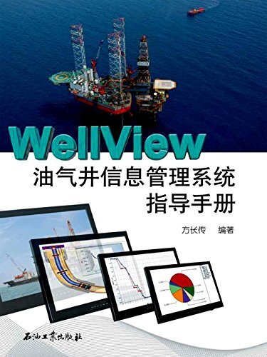 WellView油气井信息管理系统指导手册