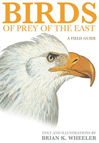 Birds of Prey of the East: A Field Guide (English Edition)