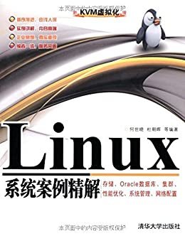 Linux系统案例精解:存储、Oracle数据库、集群、性能优化、系统管理、网络配置