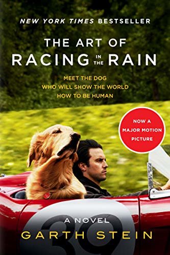 The Art of Racing in the Rain: A Novel (English Edition)