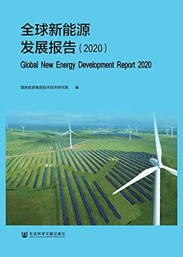 全球新能源发展报告（2020）