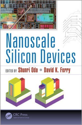 Nanoscale Silicon Devices (English Edition)