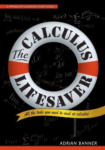 The Calculus Lifesaver: All the Tools You Need to Excel at Calculus (Princeton Lifesaver Study Guides) (English Edition)
