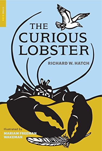The Curious Lobster (English Edition)