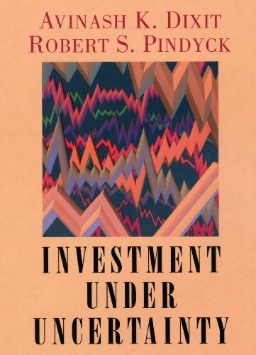 Investment under Uncertainty (English Edition)
