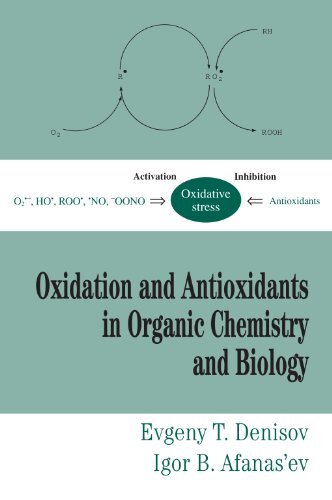 Oxidation and Antioxidants in Organic Chemistry and Biology (English Edition)