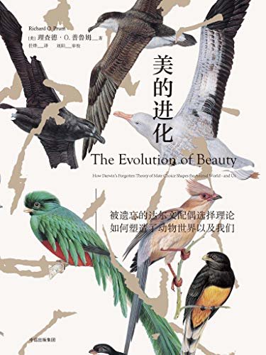美的进化（耶鲁大学知名鸟类专家让被遗忘了150年的达尔文理论重焕光彩，讲述一个关于性、愉悦感和进化论的故事）