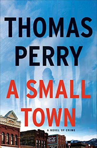 A Small Town: A Novel of Crime (English Edition)