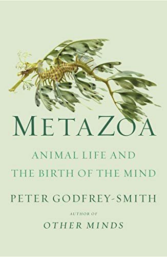 Metazoa: Animal Life and the Birth of the Mind (English Edition)